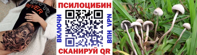 hydra ссылка  Мамоново  Псилоцибиновые грибы мухоморы 